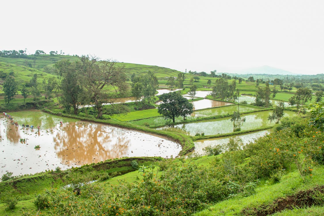 Free stock photo of farm, farming, mountain farm