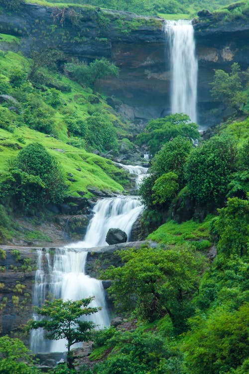 Immagine gratuita di cascata, foresta, foresta pluviale