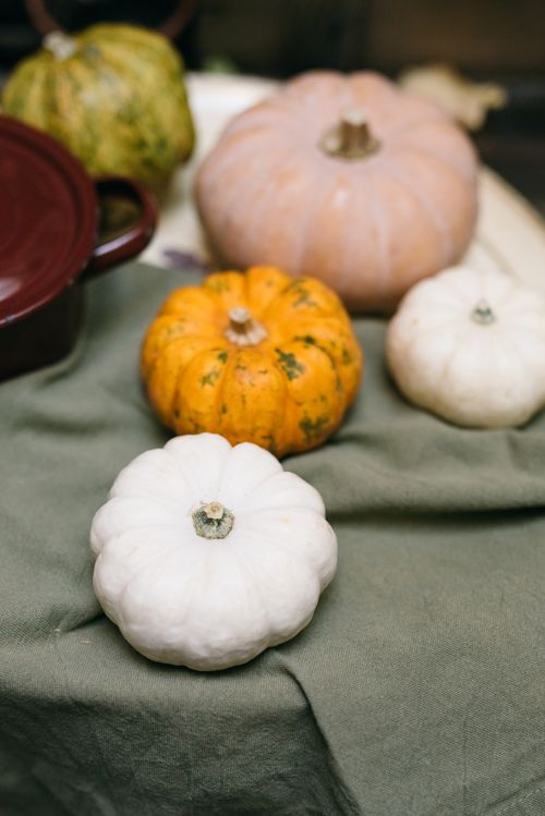 Free Various pumpkins on a green tablecloth, perfect for autumn themes and decorations. Stock Photo