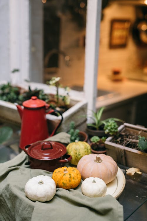 White and Orange Pumpkins on the Table