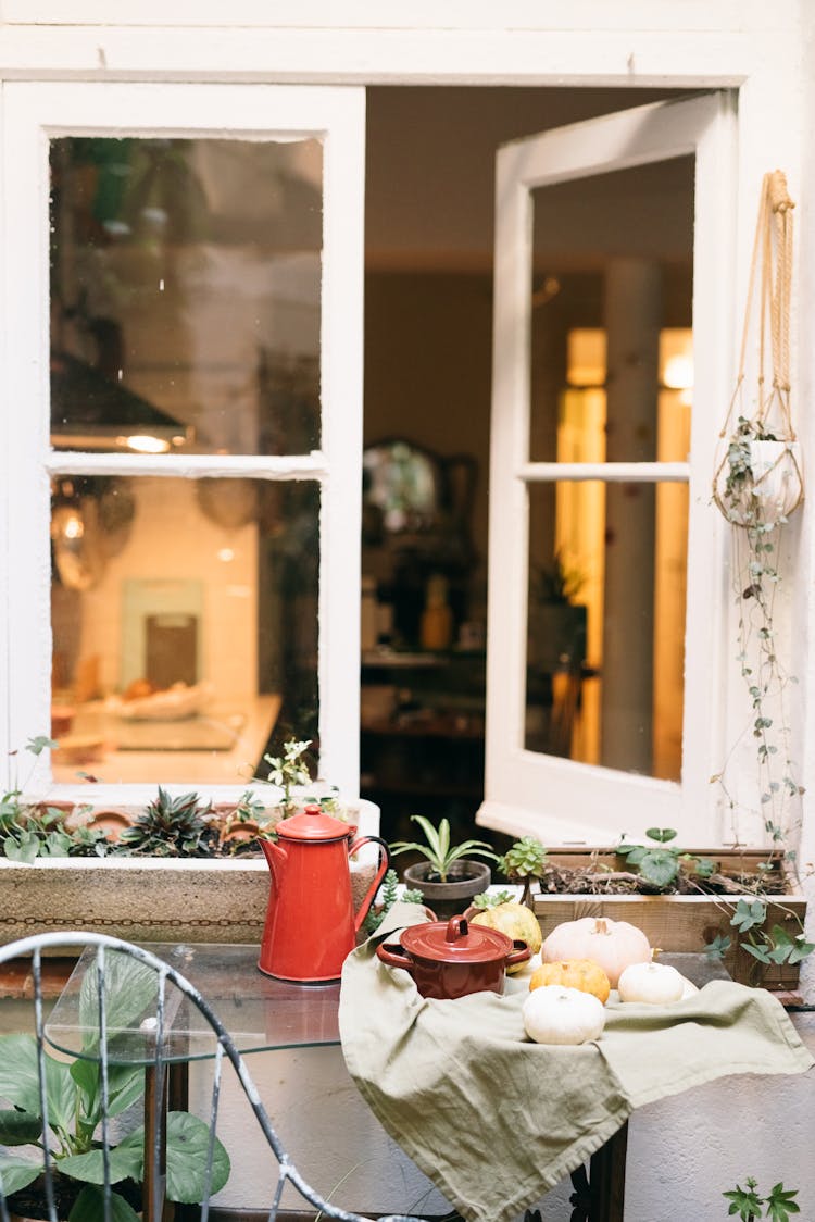 Open Windows And Plants In Flowerpots