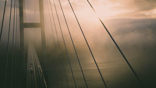 Cars on Bridge