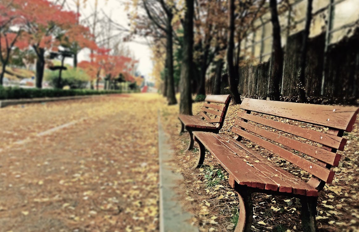 Free Brown Wooden Bench With Brown Dried Leaves Stock Photo