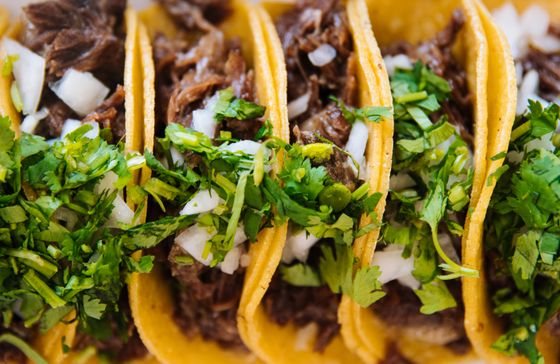 Row of yellow corn tortilla tacos filled with shredded braised beef, diced onion and chopped cilantro