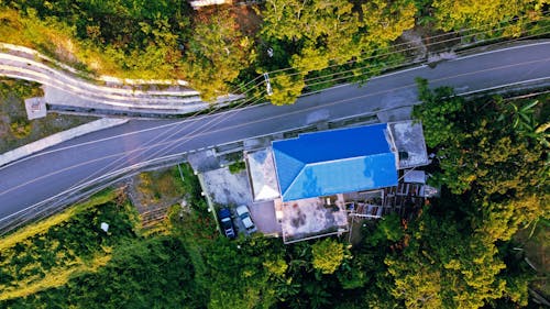 Aerial Shot of House Surrounded by Green Trees