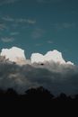 Bushes and trees under cumulus fluffy clouds on bright blue sky with aircraft
