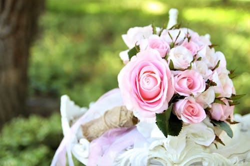 Gratis Fotos de stock gratuitas de de cerca, Flores rosadas, fondo borroso Foto de stock