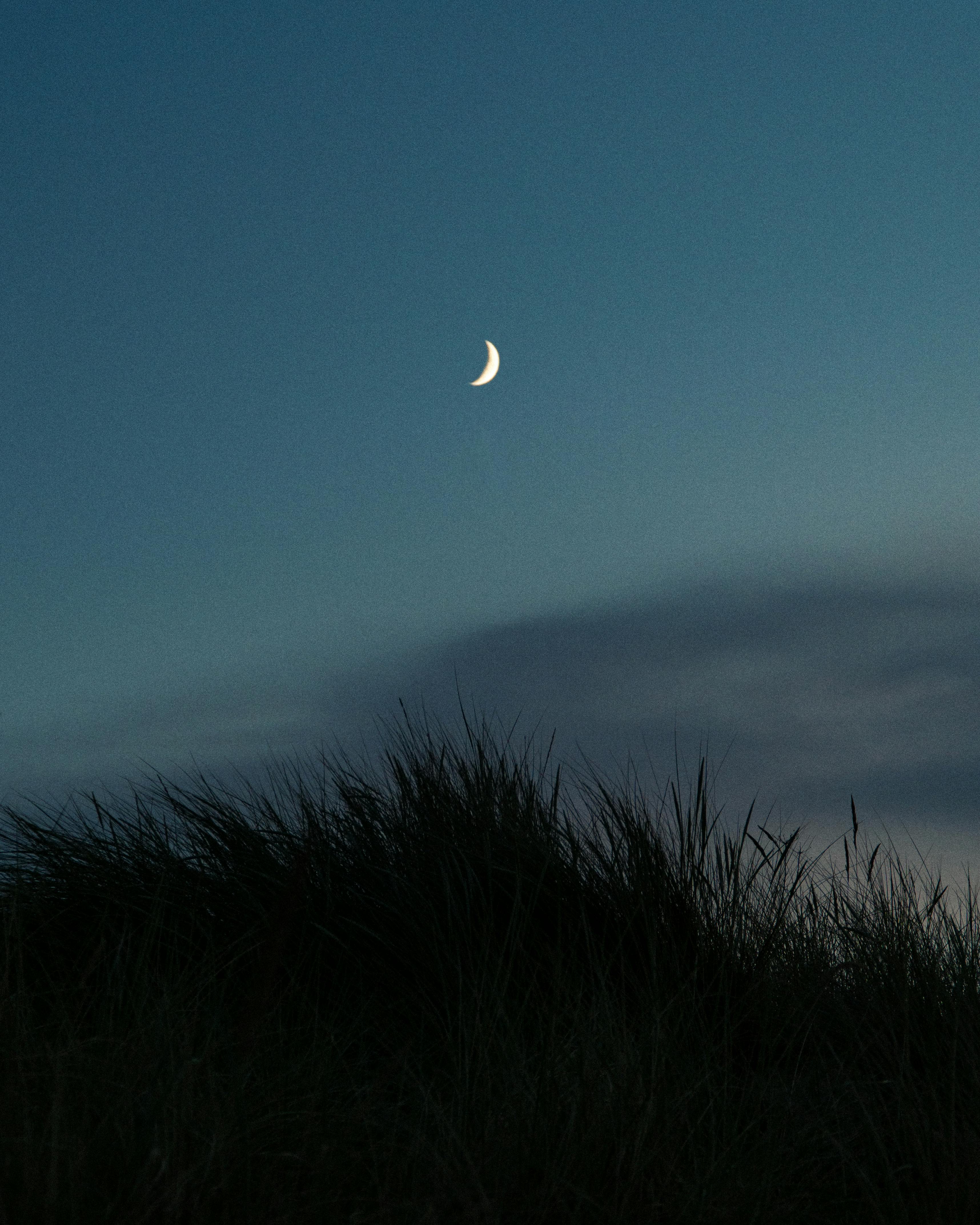 Captivating view of a crescent moon in a clear night sky over grass dunes in Usedom, Germany.