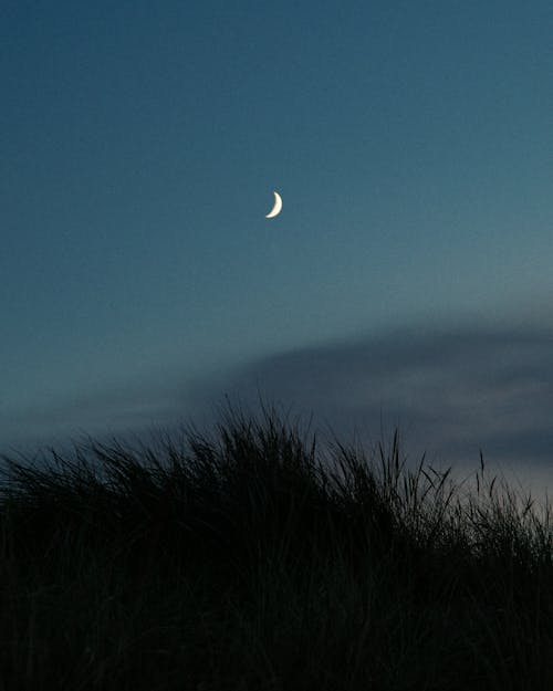 Moon on a Night Sky 