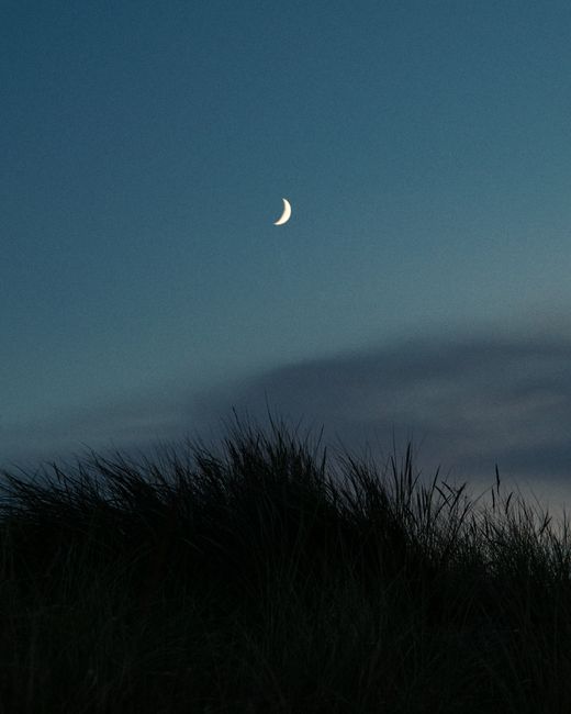 Captivating view of a crescent moon in a clear night sky over grass dunes in Usedom, Germany.