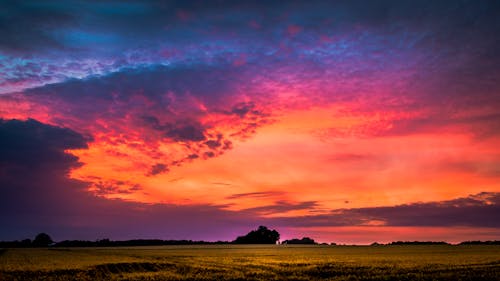 Fotografía De La Hora Dorada Del Campo De Hierba