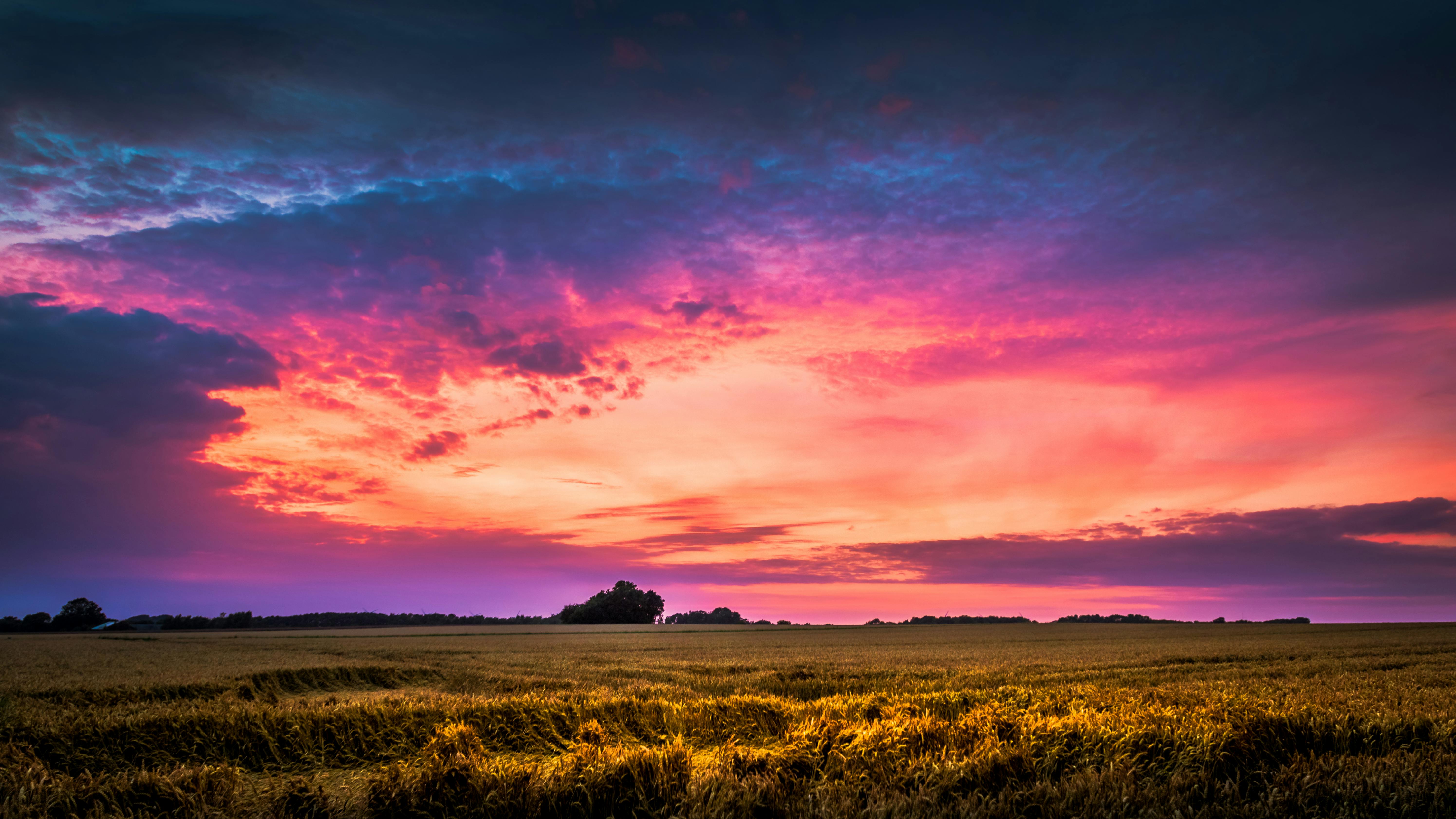 Pink Sunset Photos Download The BEST Free Pink Sunset Stock Photos  HD  Images