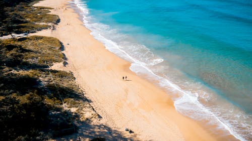 Aerial View of a Beach and Turquoise Water 