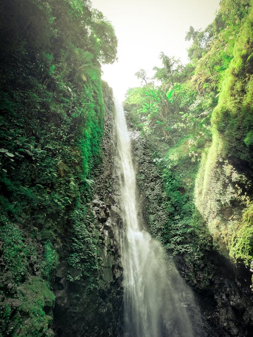 Waterfall falling through rocky ravine in green woods