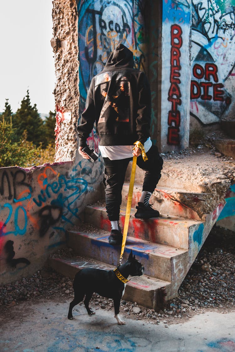 Man In Stylish Wear Walking With Dog In Damaged Building