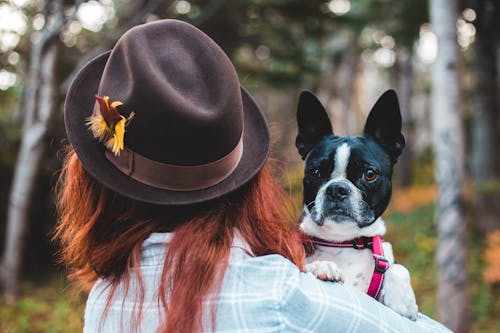 Free Woman carrying funny dog in countryside forest Stock Photo