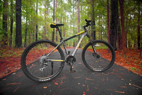 Side View of a Mountain bike 