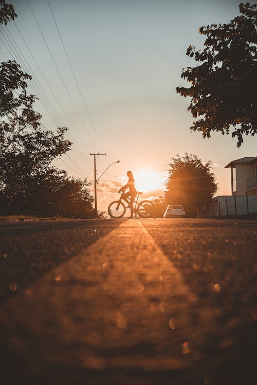 Foto d'estoc gratuïta de arbres, bici, capvespre