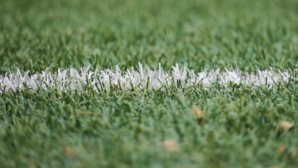 Wit En Groen Gras Gedurende De Dag