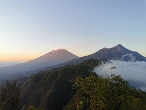 Ảnh lưu trữ miễn phí về bình minh, Hoàng hôn, màu xanh lá