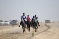 People Riding Horses on Brown Sand