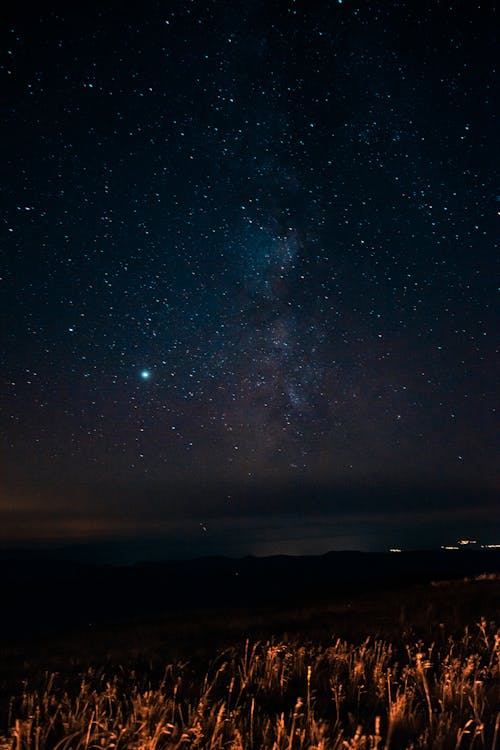 Starry Night Sky above Field