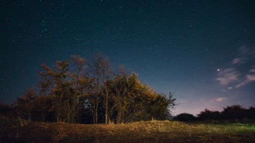 Free A serene, star-filled night sky above a picturesque forest landscape, capturing nature's beauty. Stock Photo