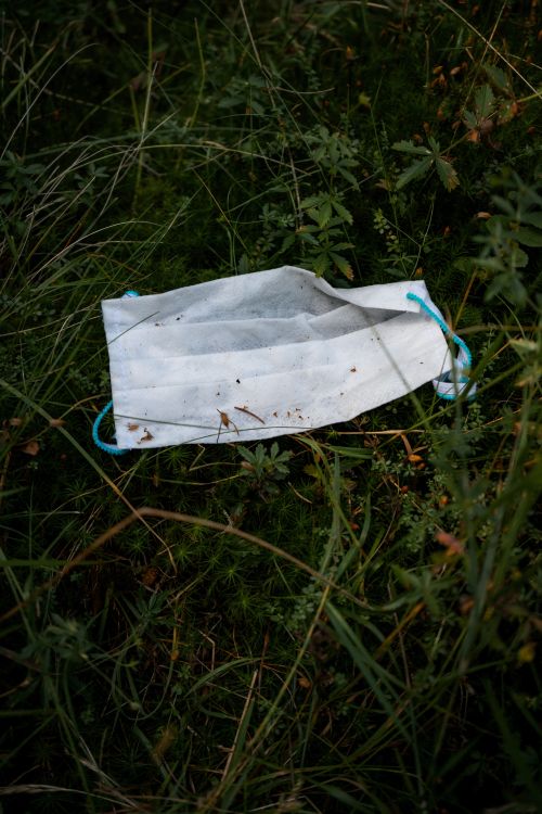 Free A used face mask lies on the grass, representing environmental impact and pandemic waste. Stock Photo