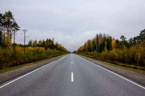 Free A picturesque highway stretches into the distance flanked by autumn trees. Stock Photo