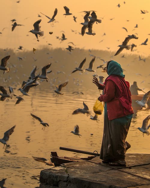 Woman feeding seagulls on river embankment