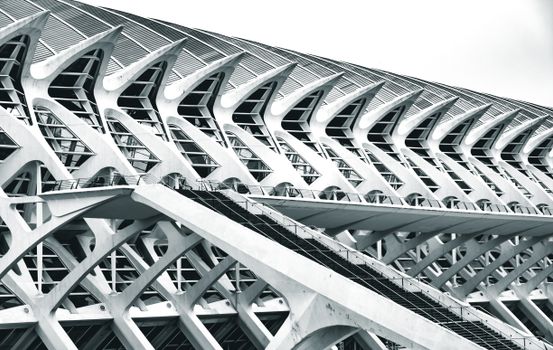 Dynamic black and white shot of Valencia's Science Museum showcasing modern architectural design.