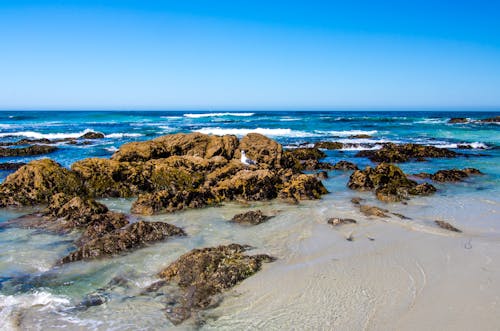 Free stock photo of beach, blue sky, clear water