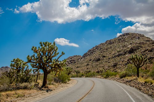 Free stock photo of blue sky, clouds, driving