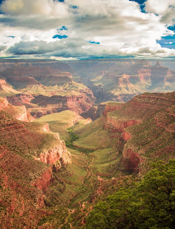 Δωρεάν στοκ φωτογραφιών με bryce canyon, αυγή, βουνό Φωτογραφία από στοκ φωτογραφιών