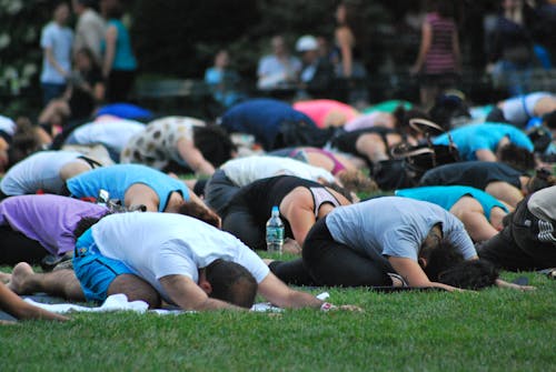 People Doing Yoga Together on Green Grass Field
