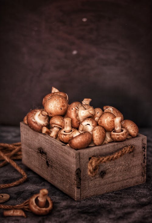 Mushrooms on a Box