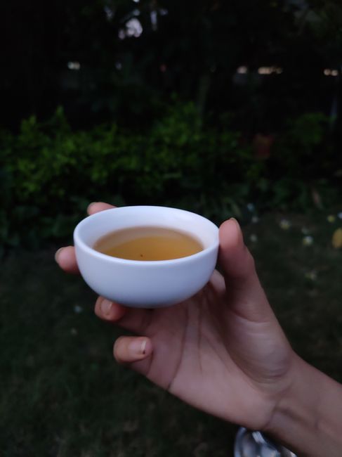 A hand holding a tea cup outdoors in Khandwa, India, against a natural background.