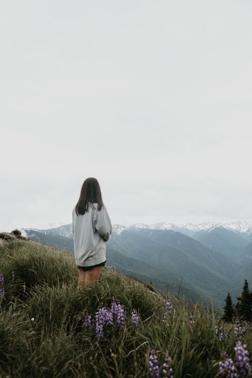Free Back view of faceless female hiker standing on green grassy hill with flowers against mountains Stock Photo