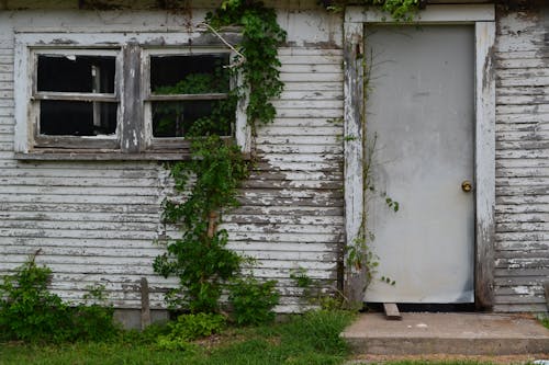 Free stock photo of green, grey, old house