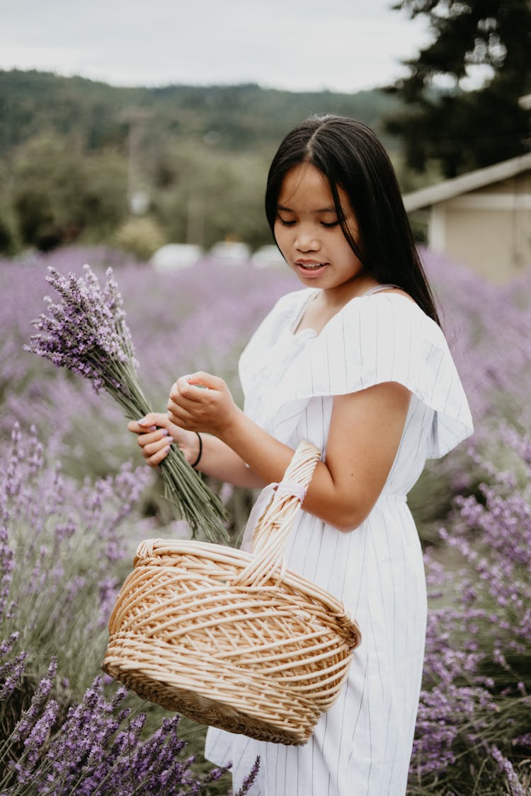 Charming Woman With Basket In Lavender Garden