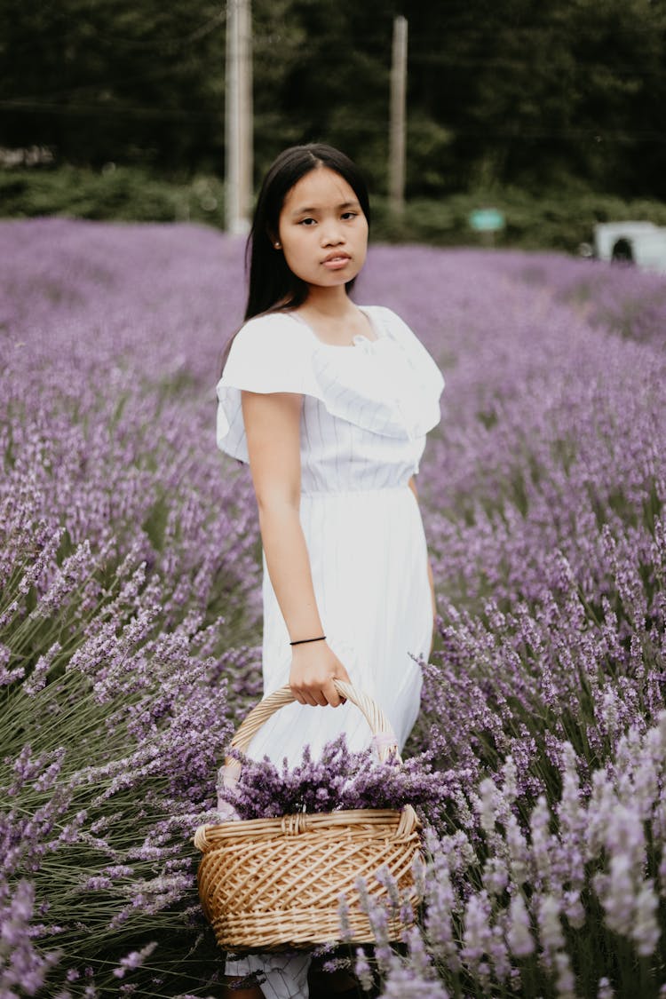 Asian Woman With Basket In Lavender Garden