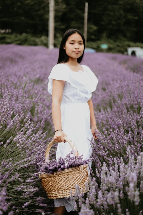 Charming young female with basket of fresh flowers standing in lavender field and looking at camera