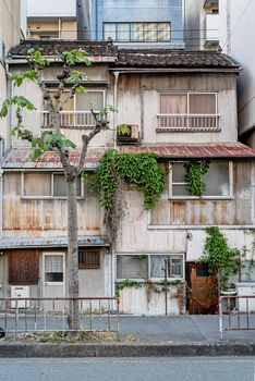 在日本一条街道上，一座爬满藤蔓的废弃乡村建筑，展现了城市的衰败