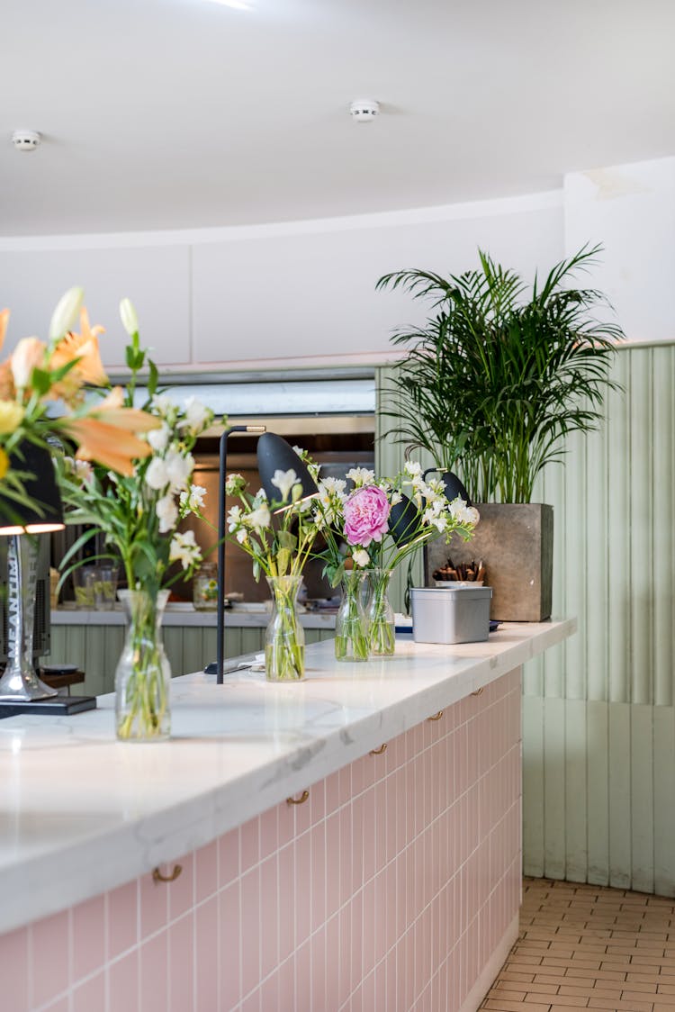 Interior Design Of A Counter With Plants 