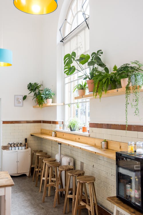 Empty Cafe with Wooden Stools 