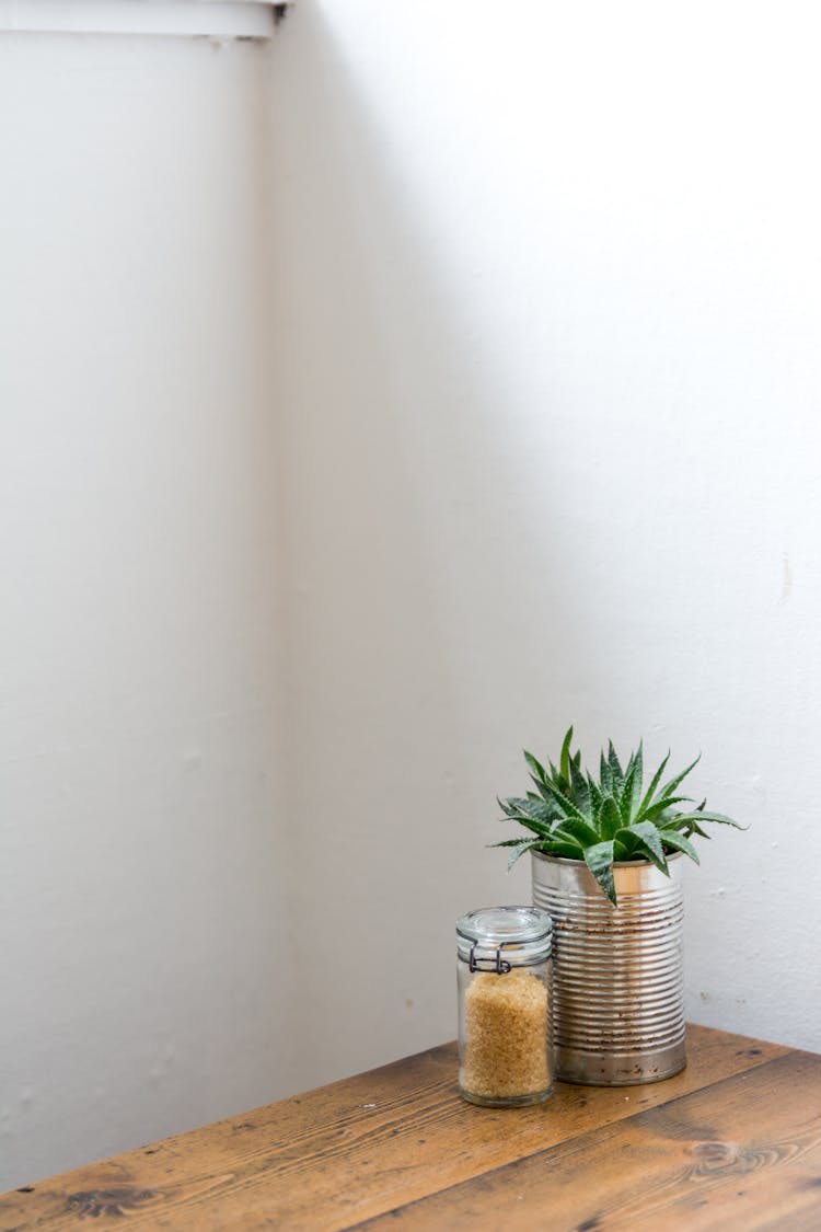 Potted Plant On The Edge Of A Wooden Table 