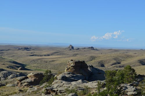 Free stock photo of canyon, field, mongolia