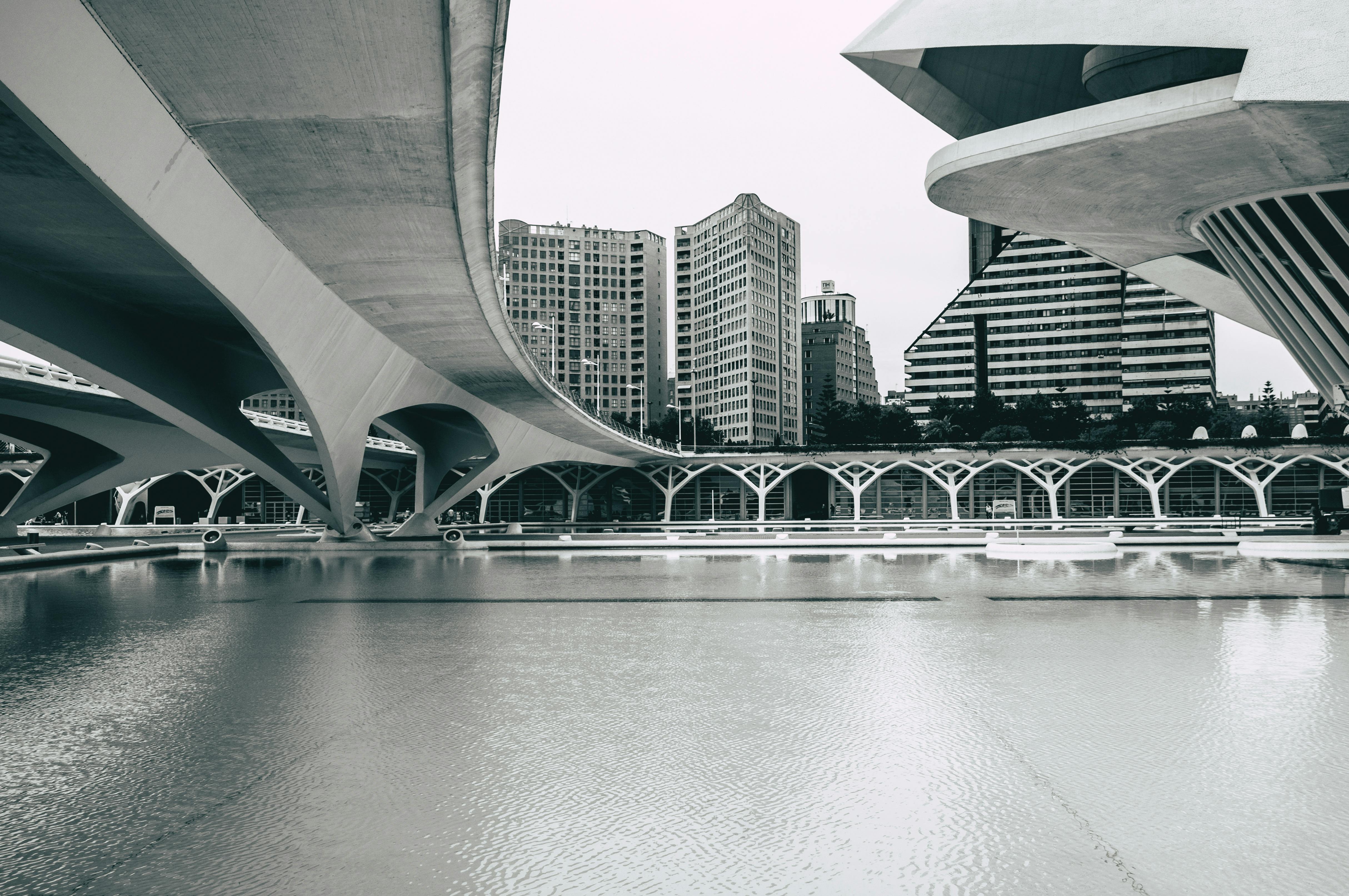 grayscale photography of pont de montolivet bridge near city buildings