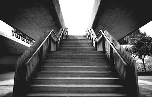 Grayscale Photo of Empty Staircase