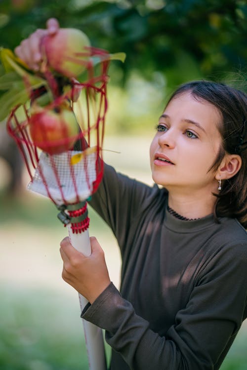 Positive girl wearing casual clothes collecting ripe apples by using fruit picker in lush garden